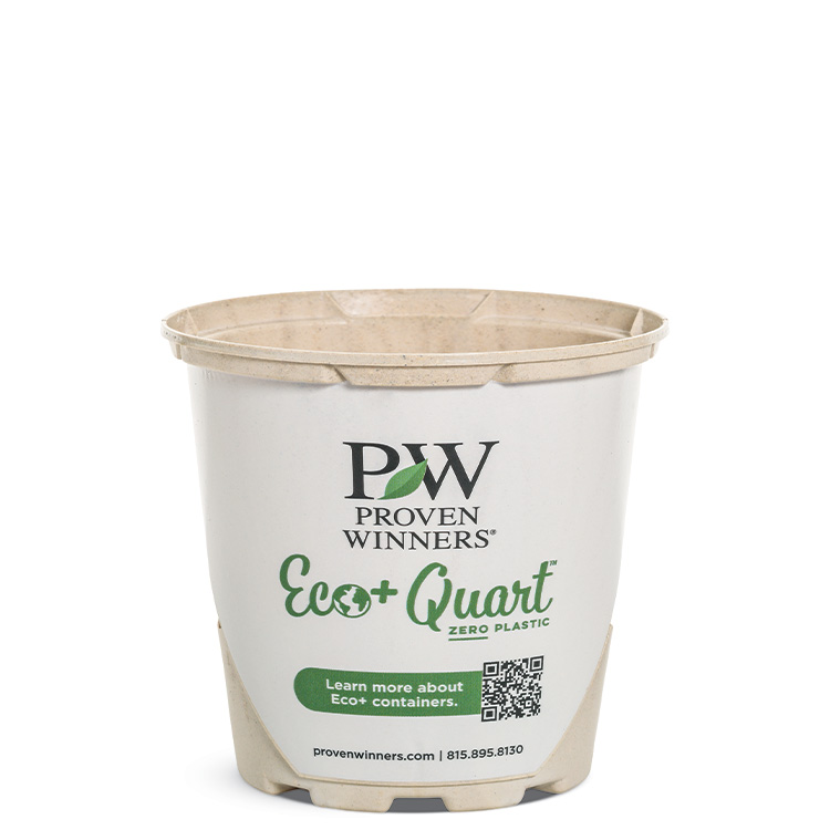 Eco-Quart